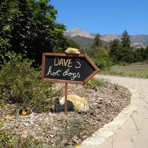 Trails n Tails 2015
