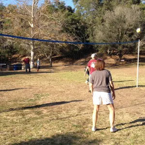Staff Appreciation Picnic 2015, playing volleyball
