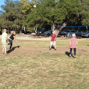 Staff Appreciation Picnic 2015, playing volleyball