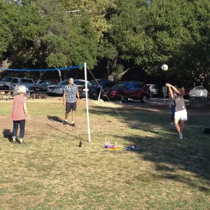 Staff Appreciation Picnic 2015, playing volleyball