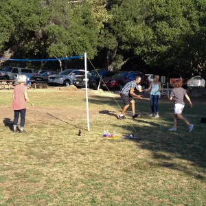 Staff Appreciation Picnic 2015, playing volleyball