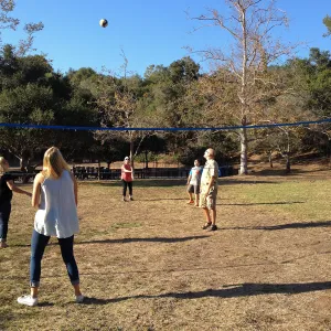 Staff Appreciation Picnic 2015, playing volleyball