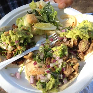 Staff Appreciation Picnic 2015