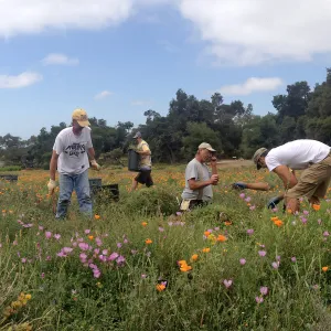 Saturday Gardening Crew Volunteers Working in the Meadow