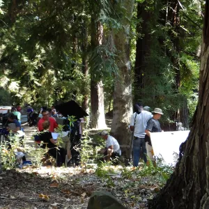 Sunsweet® Commercial Shoot