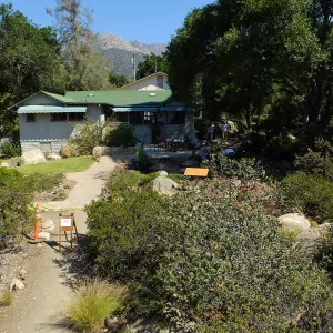 Home Demonstration Garden Renovation, view 25, south side of Cottage, first day of demolition work