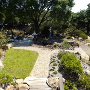 Home Demonstration Garden Renovation, view 29, looking east from deck, first day of demolition work
