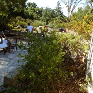 Home Demonstration Garden Renovation, view 18, looking south from south entrance of Cottage, first day of demolition work