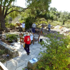 Home Demonstration Garden Renovation, view 20, looking southeast from south entrance of Cottage, first day of demolition work