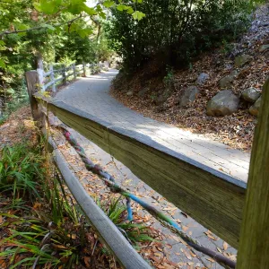 Dormant Dreams Yarn Blast, Redwoods Yarn Walk