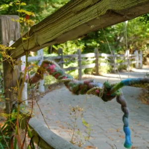 Dormant Dreams Yarn Blast, Redwoods Yarn Walk