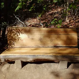 Refinished bench on Canyon Trail