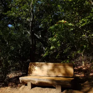 Refinished bench on Canyon Trail