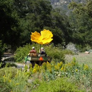Dormant Dreams Yarn Blast, Giant California Poppy Installation