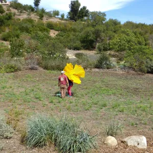 Dormant Dreams Yarn Blast, Giant California Poppy Installation