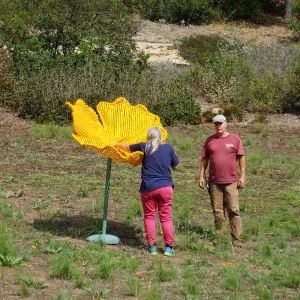Dormant Dreams Yarn Blast, Giant California Poppy Installation