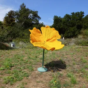 Dormant Dreams Yarn Blast, Giant California Poppy