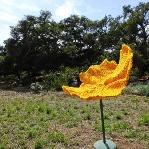 Dormant Dreams Yarn Blast, Giant California Poppy
