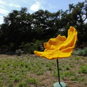 Dormant Dreams Yarn Blast, Giant California Poppy