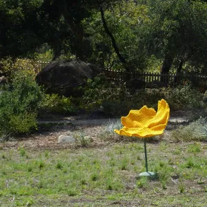 Dormant Dreams Yarn Blast, Giant California Poppy