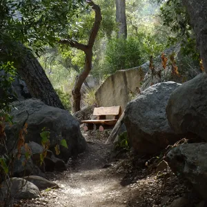 Anna's Bench, Pritchett Trail, shortly after installation