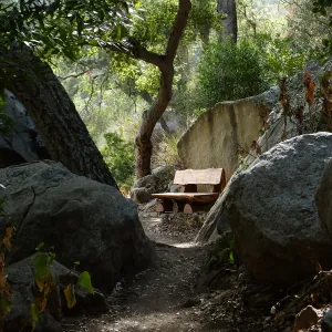 Anna's Bench, Pritchett Trail, shortly after installation