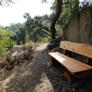 Anna's Bench, Pritchett Trail, shortly after installation