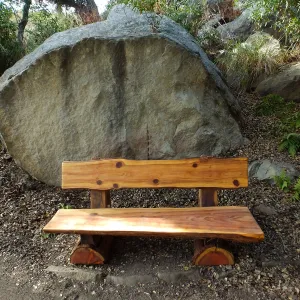 Anna's Bench, Pritchett Trail, shortly after installation
