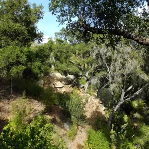 View from Pritchett Trail