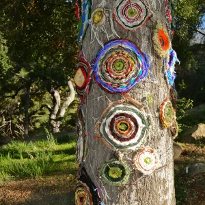 Dormant Dreams Yarn Blast, Coast Oak Circles