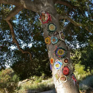 Dormant Dreams Yarn Blast, Coast Oak Circles