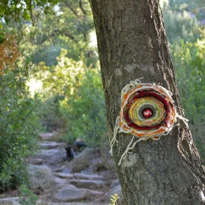 Dormant Dreams Yarn Blast, Coast Oak Circles