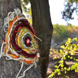 Dormant Dreams Yarn Blast, Coast Oak Circles