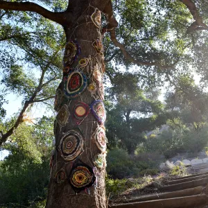 Dormant Dreams Yarn Blast, Coast Oak Circles
