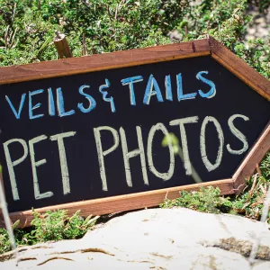 Trails n Tails 2015