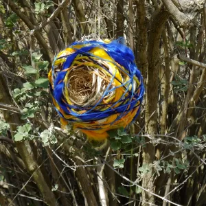 Dormant Dreams Yarn Blast, Desert Section Birds Nest