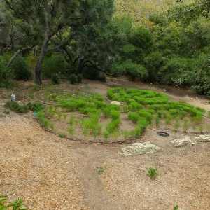 Centennial Maze