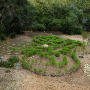 Centennial Maze
