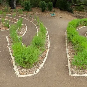 Centennial Maze