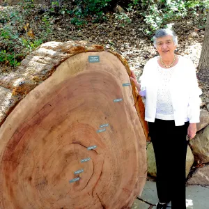 Helene Beaver, Unveiling of the Redwood Round Interpretation Project