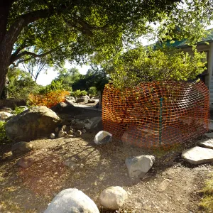 Home Demonstration Garden Renovation, view 7, east of Cottage