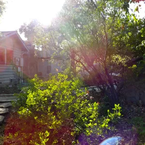 Home Demonstration Garden Renovation, view 8, north of Cottage, looking west