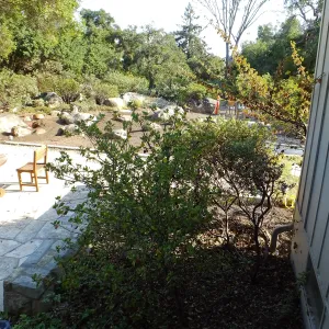 Home Demonstration Garden Renovation, view 18, looking south from south entrance of Cottage