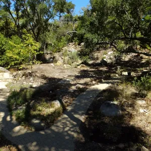 Wooded Dell site preparation