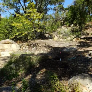 Wooded Dell site preparation