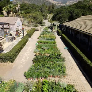 Fall Plant Sale 2015 preparations