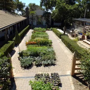 Fall Plant Sale 2015 preparations