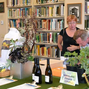Fall Plant Sale 2015 Members Preview Party, Silent Auction