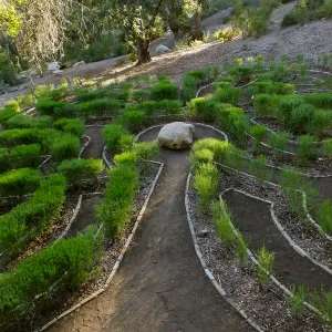 Centennial Maze