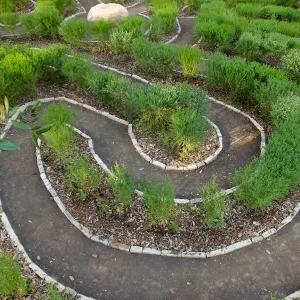Centennial Maze